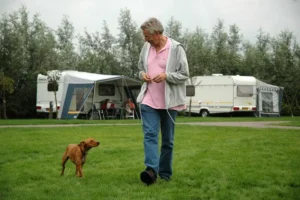 Read more about the article 5 RV Camping Safety Tips