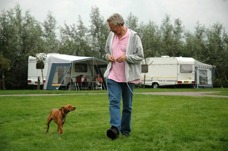 You are currently viewing 5 RV Camping Safety Tips