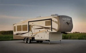 Read more about the article The History Of Forest River